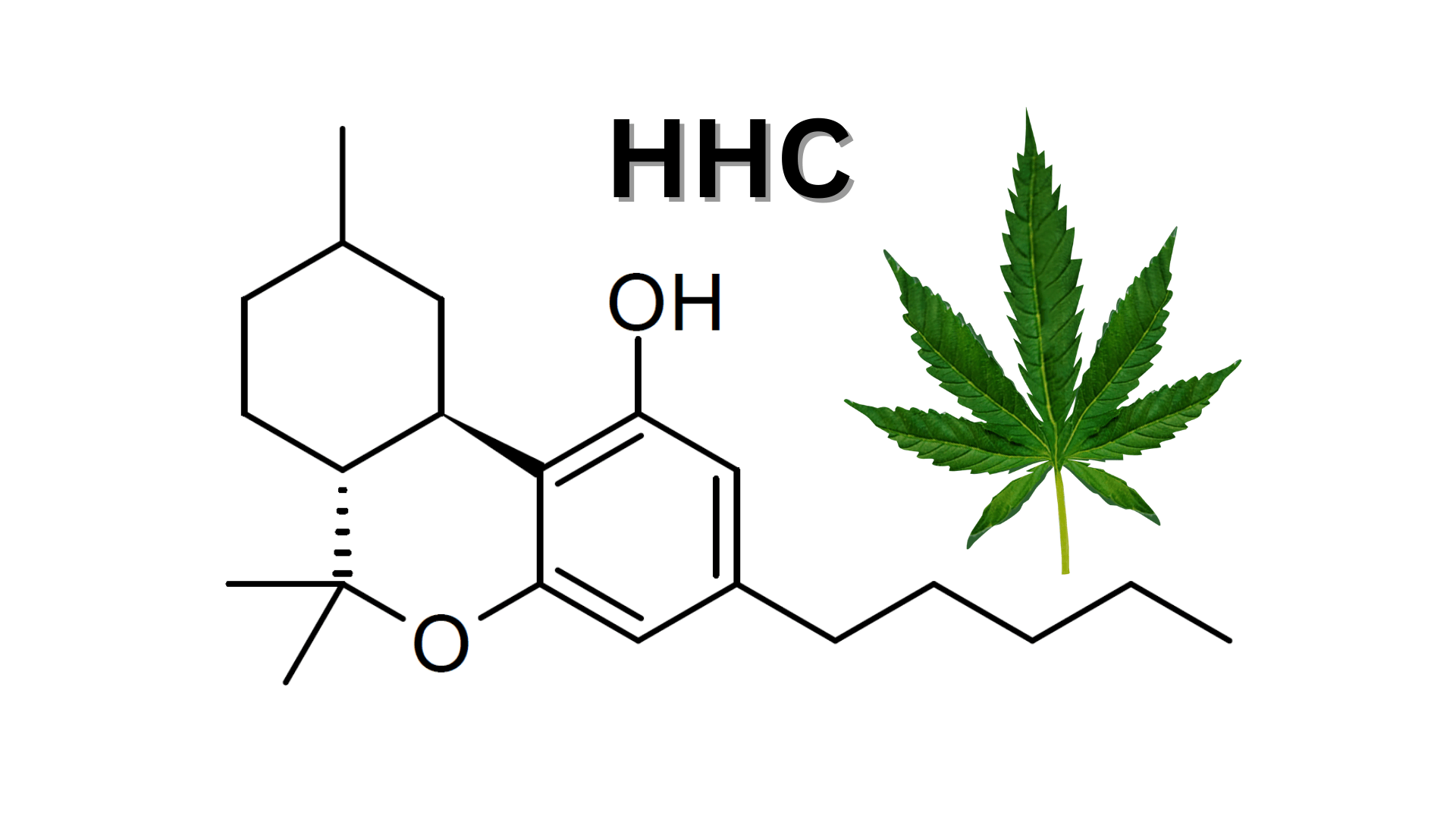 5 Key Differences Between HHC And THC You Need To Know